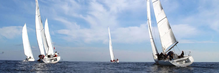 Sailing_Team_crop